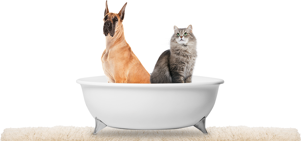 Pet Products Beta Page 2b - Great Dane (1020x480), Png Download