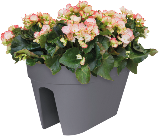 Home > Collection > Loft Urban Flower Bridge - Flowerpot (750x750), Png Download