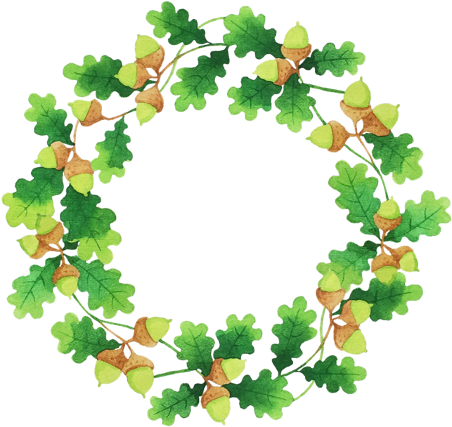 Decorative Leaf Png Clipart - Portable Network Graphics (800x800), Png Download