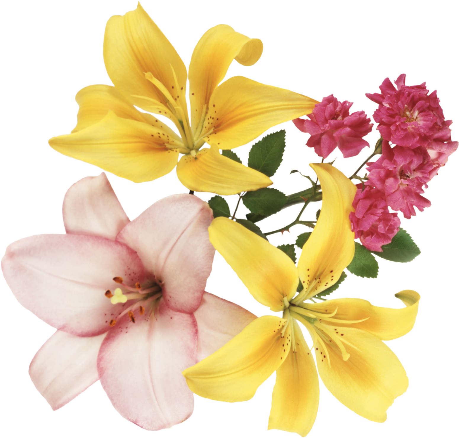 Gifs Y Fondos Paz Enla Tormenta ® - Bom Dia Motivado Mensagem (1600x1543), Png Download