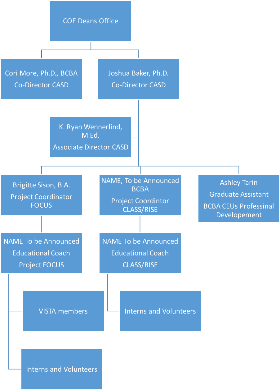 Casd Org Chart - Electric Blue (910x1302), Png Download
