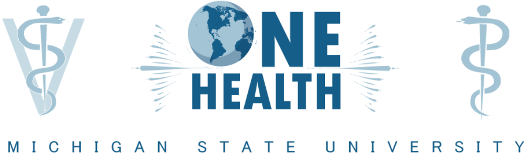 Msu One Health Club - Graphic Design (2000x500), Png Download