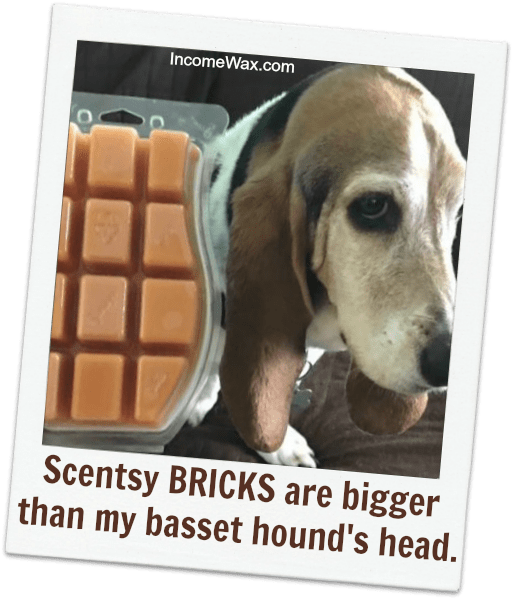 How Many Bars In A Scentsy Brick - Bill Gates Quotes (520x607), Png Download