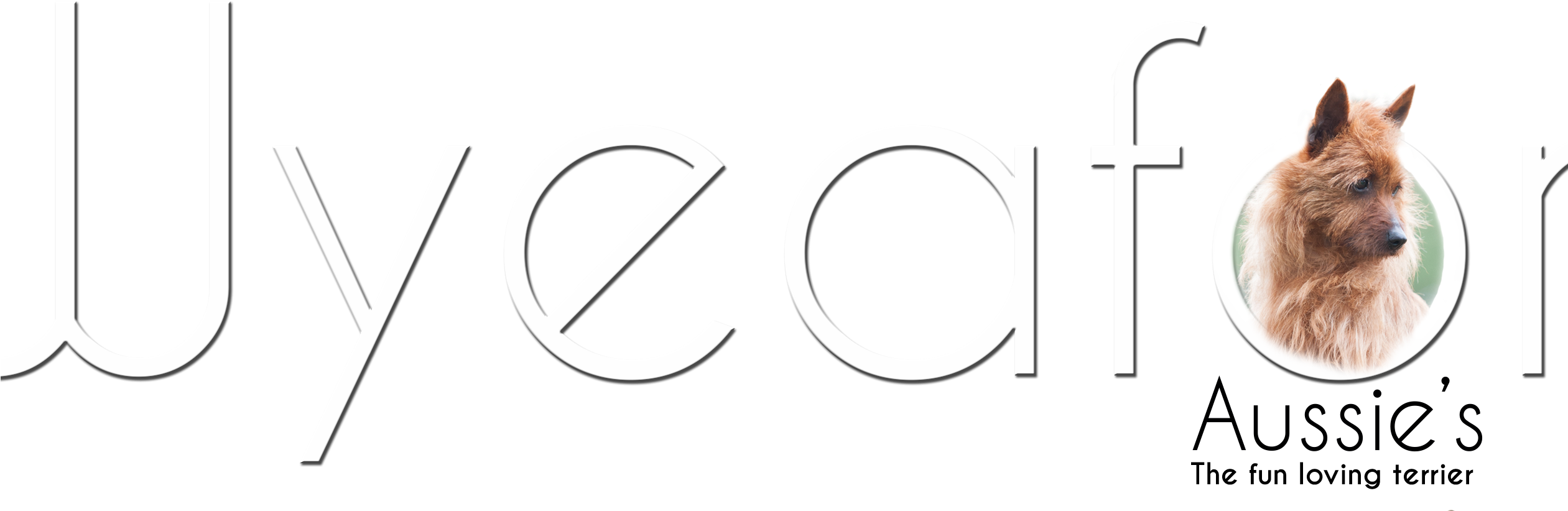 Zara Boyle Design - Ragamuffin (2520x1260), Png Download