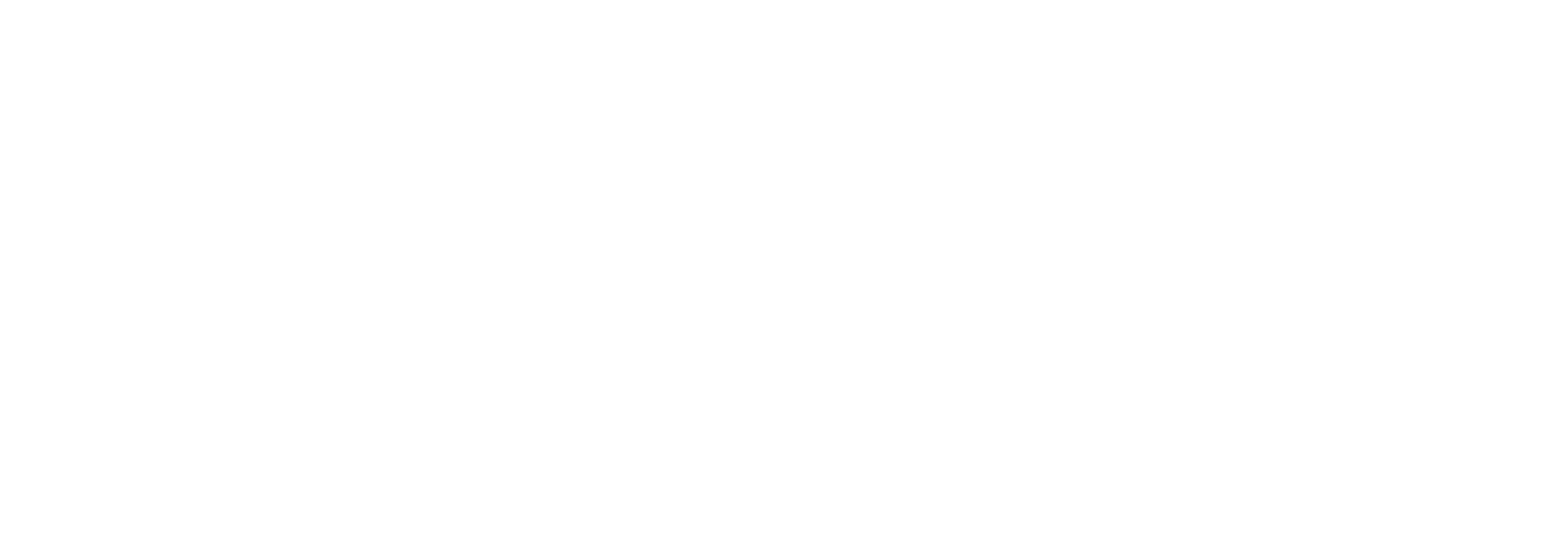 Anatom Footwear - Anatom (2362x807), Png Download