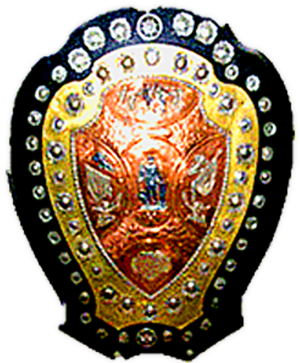 I - F - A - Shield - Ifa Shield Final 1970 (738x738), Png Download