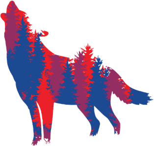 Prev - Wolf Logo (768x768), Png Download