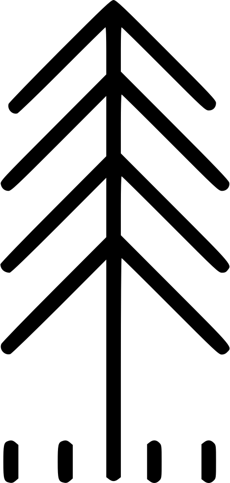 Pine Tree Comments (468x980), Png Download