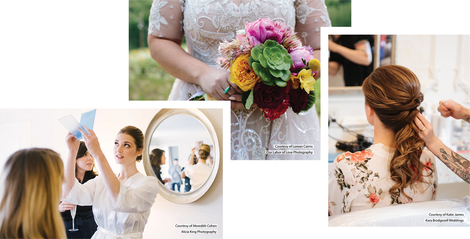 Without - Garden Roses (1571x801), Png Download