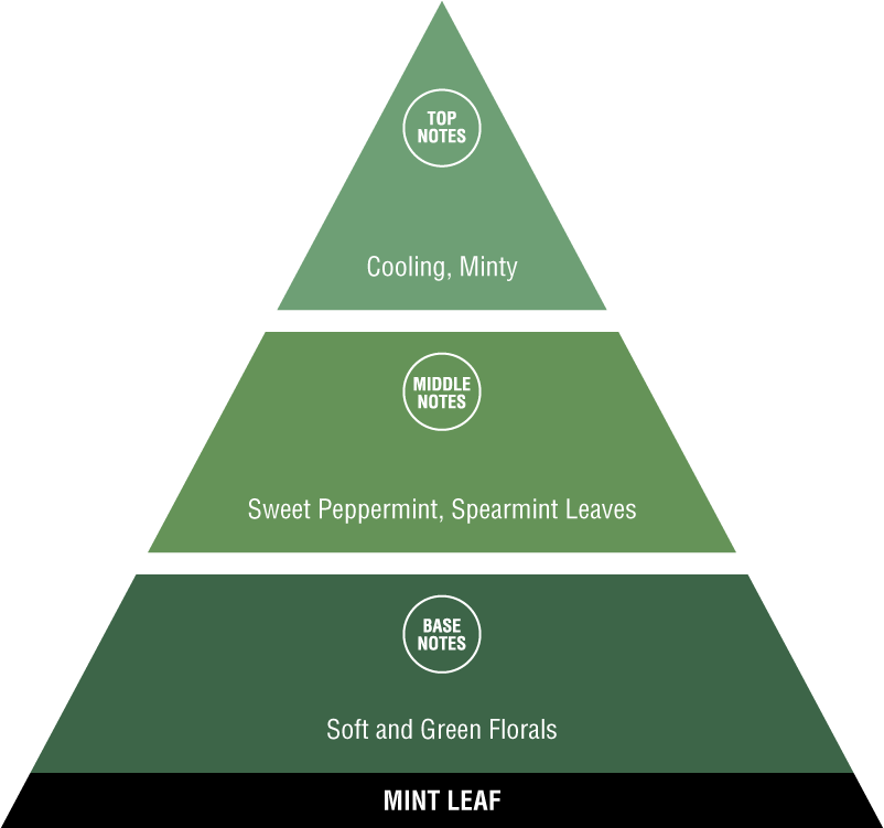 Download Fragrance Pyramid PNG Image with No Background - PNGkey.com