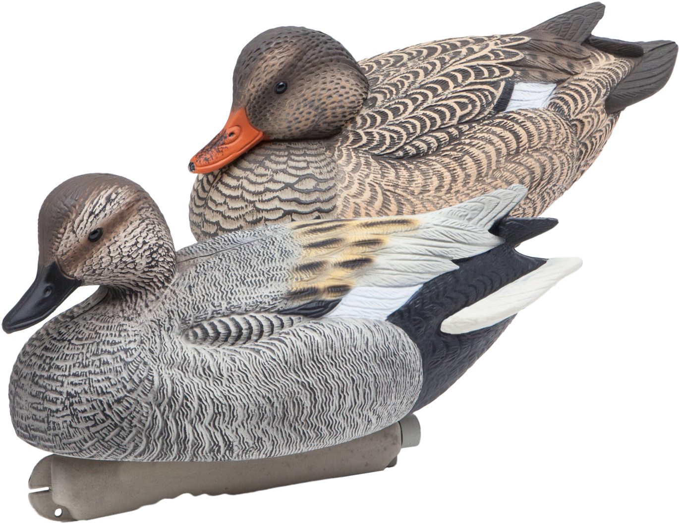 Floating Gadwall Duck Hunting Decoys From Final Approach - Gadwall (2048x1602), Png Download