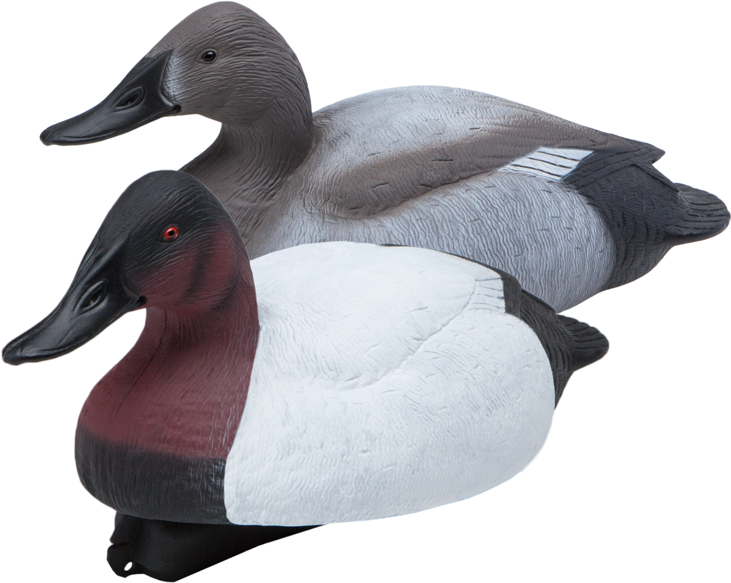 Floating Canvasbacks Six Pack Of Duck Hunting Decoys - Redhead (2048x1602), Png Download