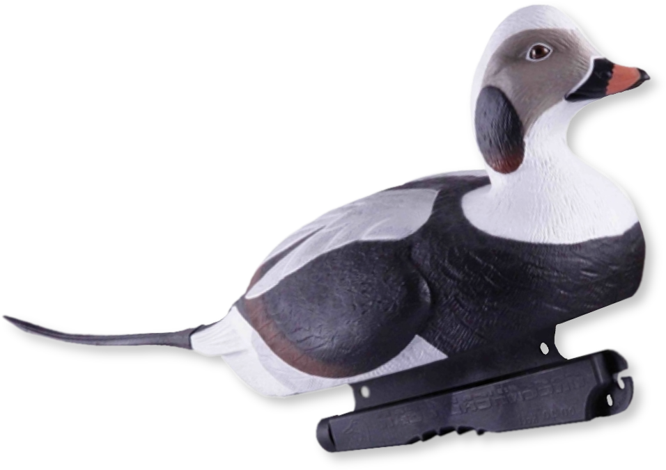 Home / Decoys / Duck Hunting Decoys - Long Tailed Duck Decoys (1000x1000), Png Download