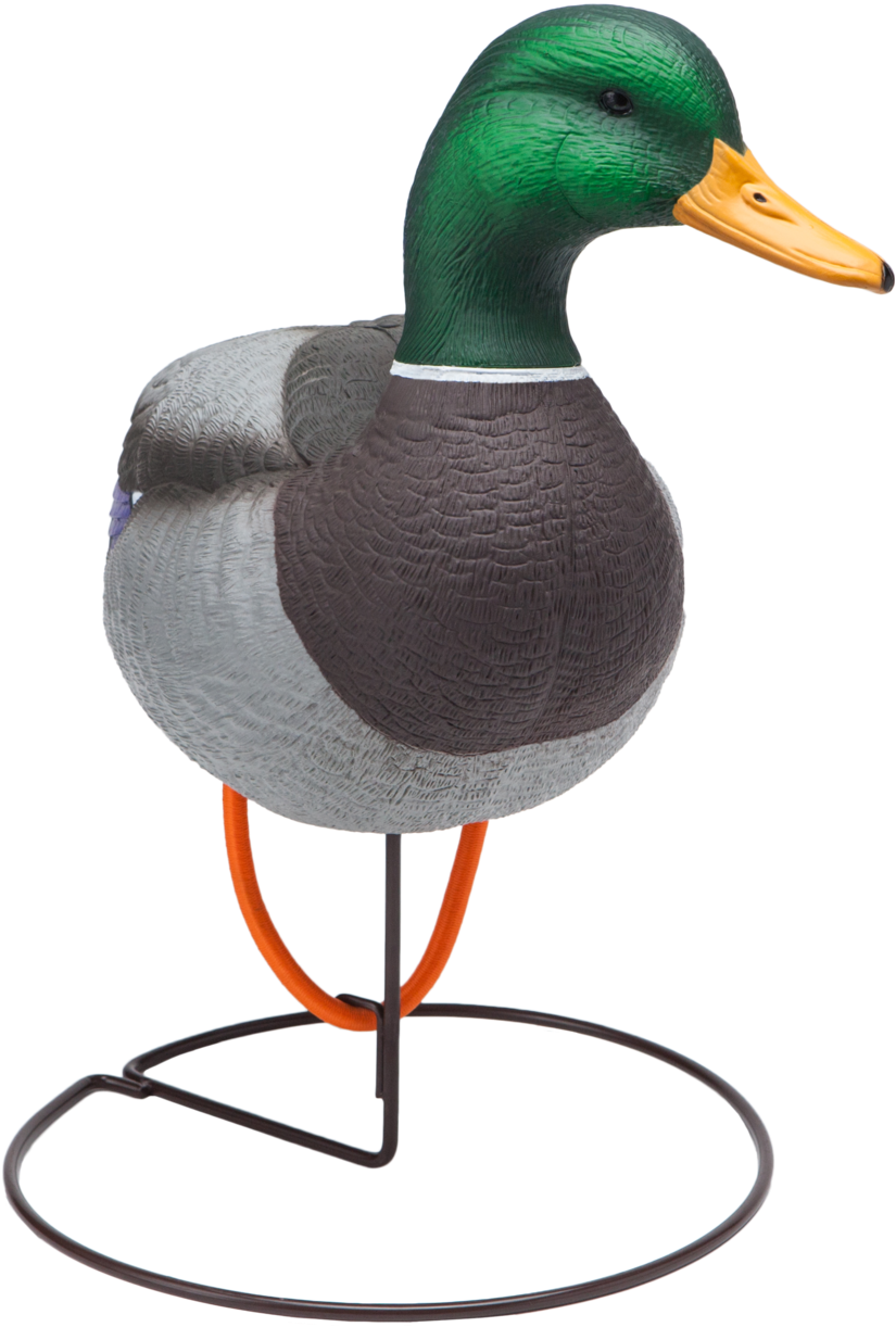Oversized Field Mallard Drake Active Duck Hunting Decoy - Mallard (2048x1545), Png Download