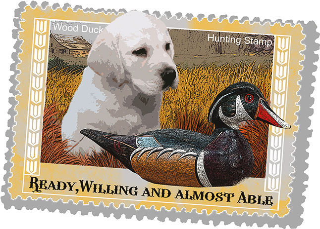 Postage Stamp (675x675), Png Download