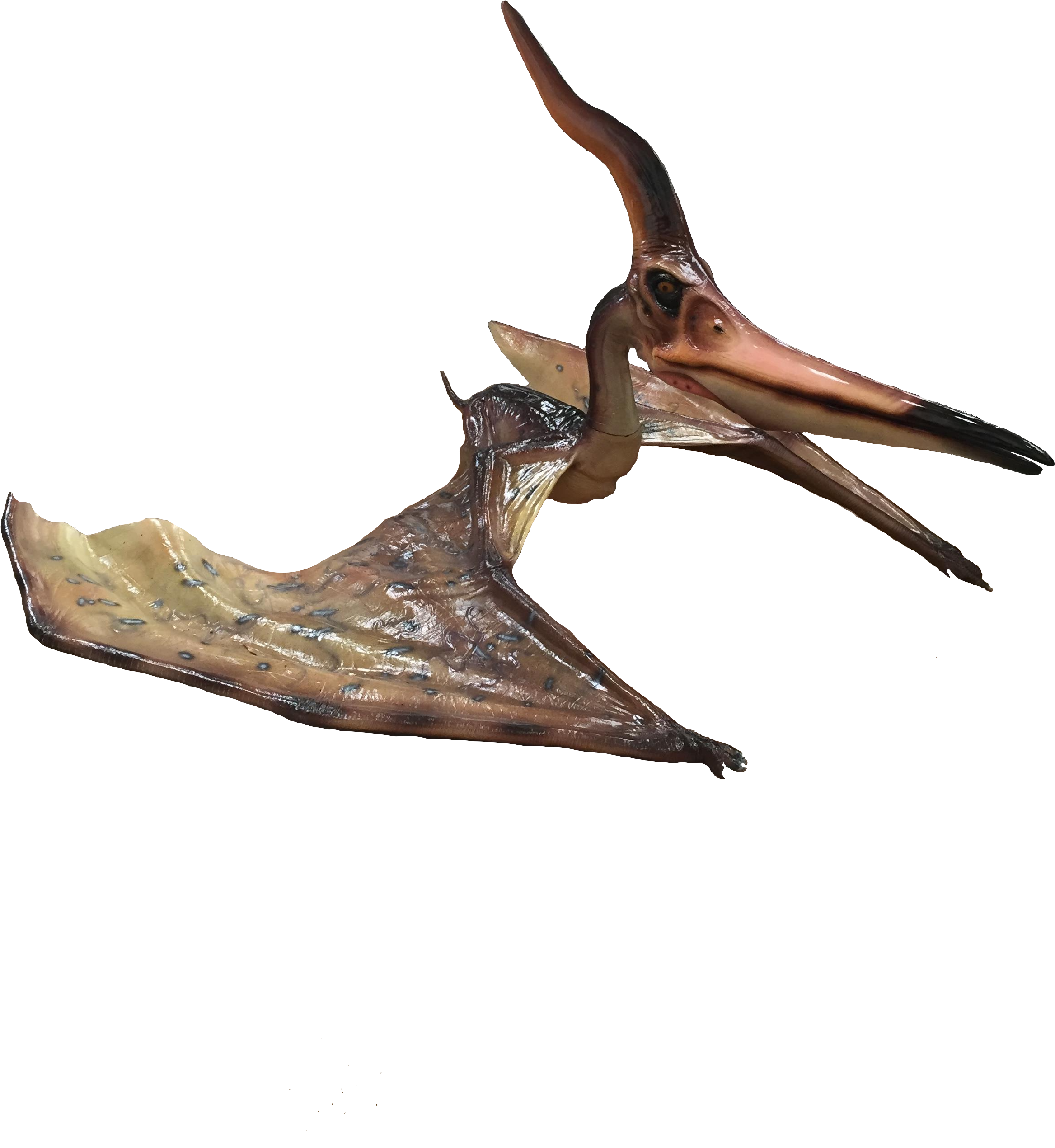 When Booking, Passengers Can Make An Optional Donation - Wood (2448x3264), Png Download