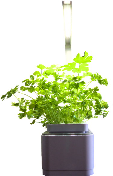 Custom Pack Smart Garden Combo - Flowerpot (1000x665), Png Download