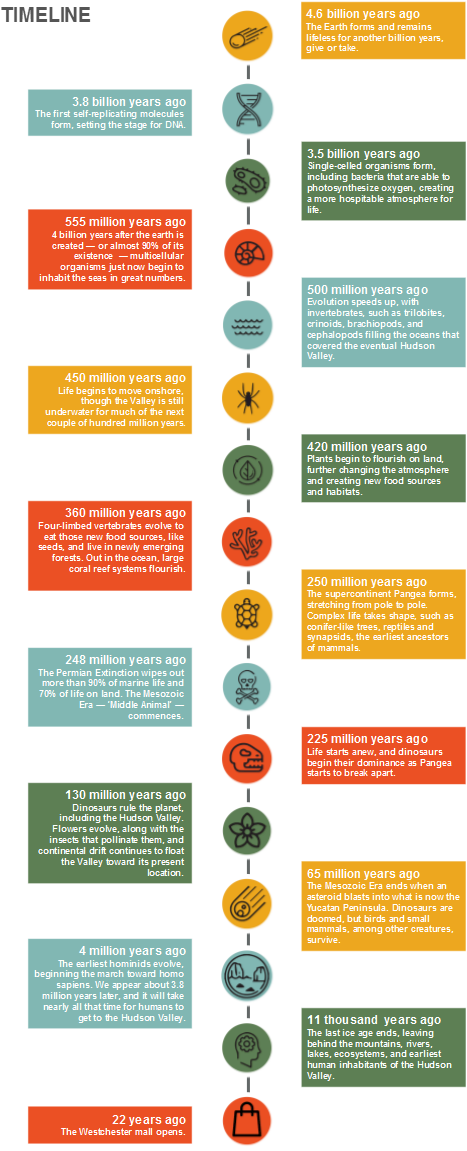 Icons Designed By Freepik From Flaticon - Circle (491x1216), Png Download