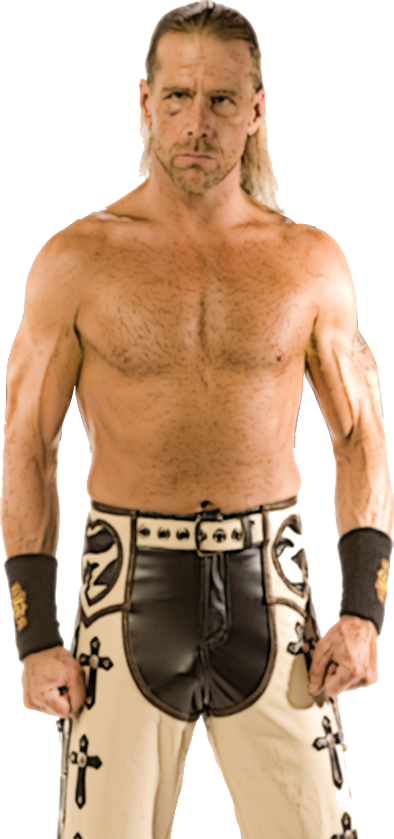 Shawn Michaels Render Photo Shawnmichaelsrender - Wwe Shawn Michaels Png (394x839), Png Download