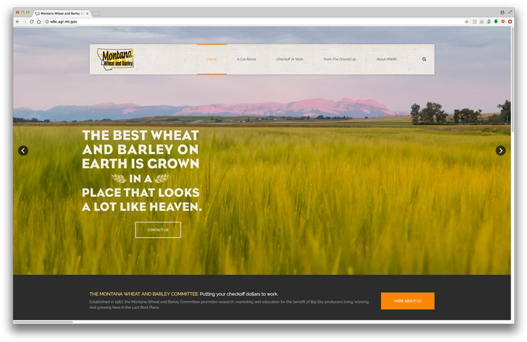 Montana Wheat And Barley Committee - Field (800x500), Png Download