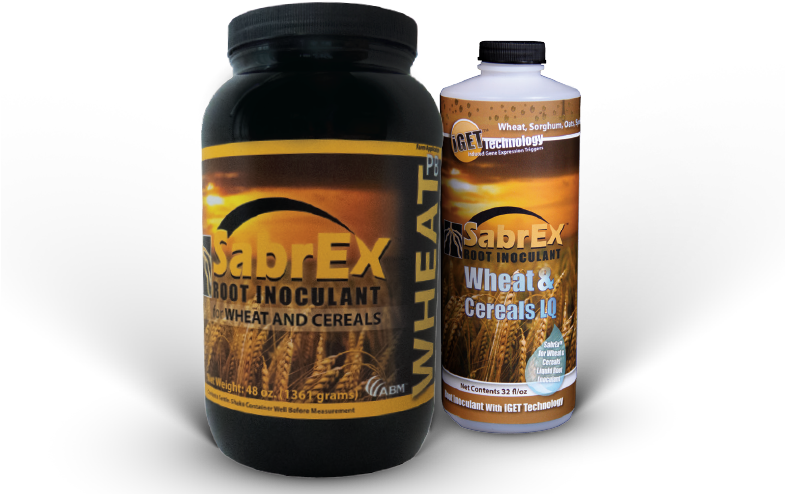 N - Fields Of Wheat (799x502), Png Download