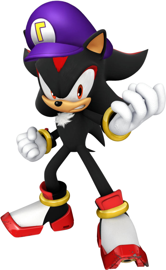 Waluigi's Hat On Shadow The Hedgehog - Shadow The Hedgehog Fighting Style (703x1200), Png Download