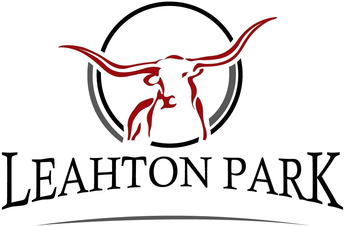 Texas Longhorns Logo Png - Texas Longhorn (1175x832), Png Download