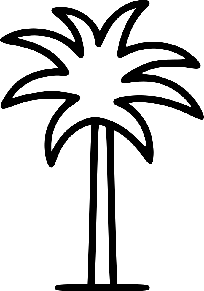 Palm Tree Comments - Palm Trees (688x980), Png Download