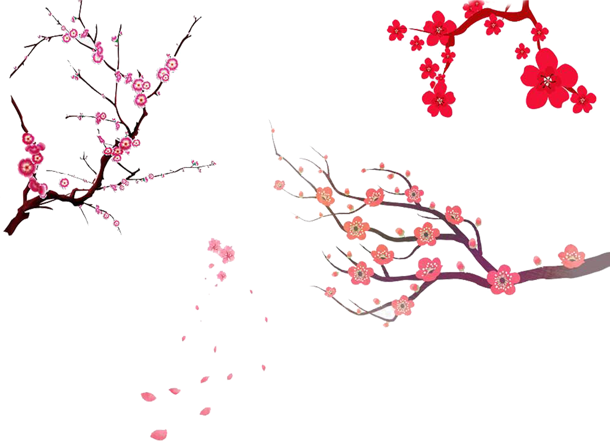 Cherry Blossom Tree Branch Png - Sakura Tree Painting Png (2362x2363), Png Download