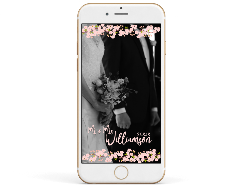 Cherry Blossom Branches (1000x738), Png Download