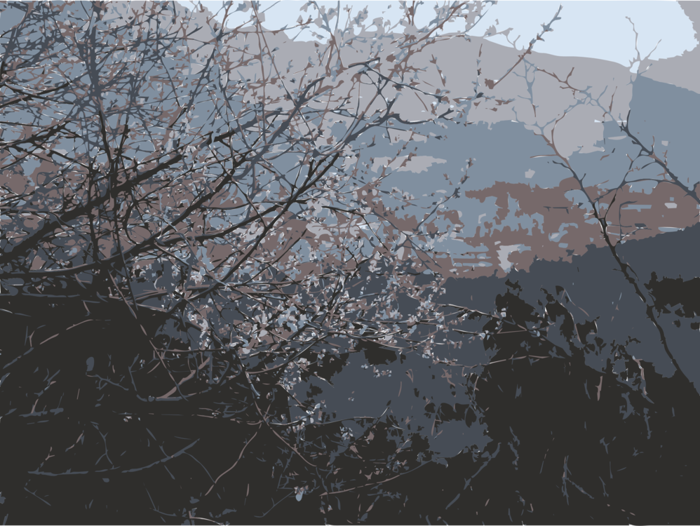 Computer Icons Tree Branch Cherry Blossom Twig (998x750), Png Download