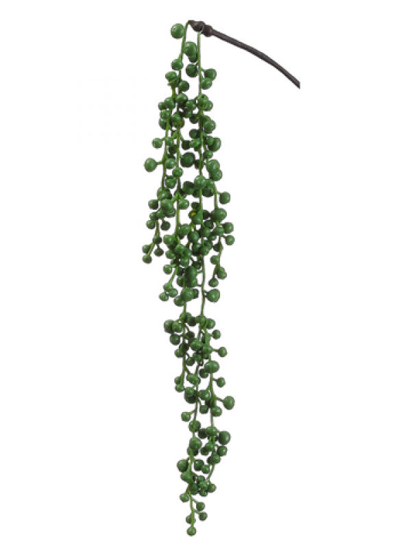 20" String Of Pearls Hanging Pick Green - Artificial String Of Pearls Plant (800x800), Png Download