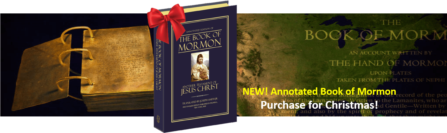 Rod Meldrum - Mormon Doctrines In Light Of The Bible (1558x487), Png Download