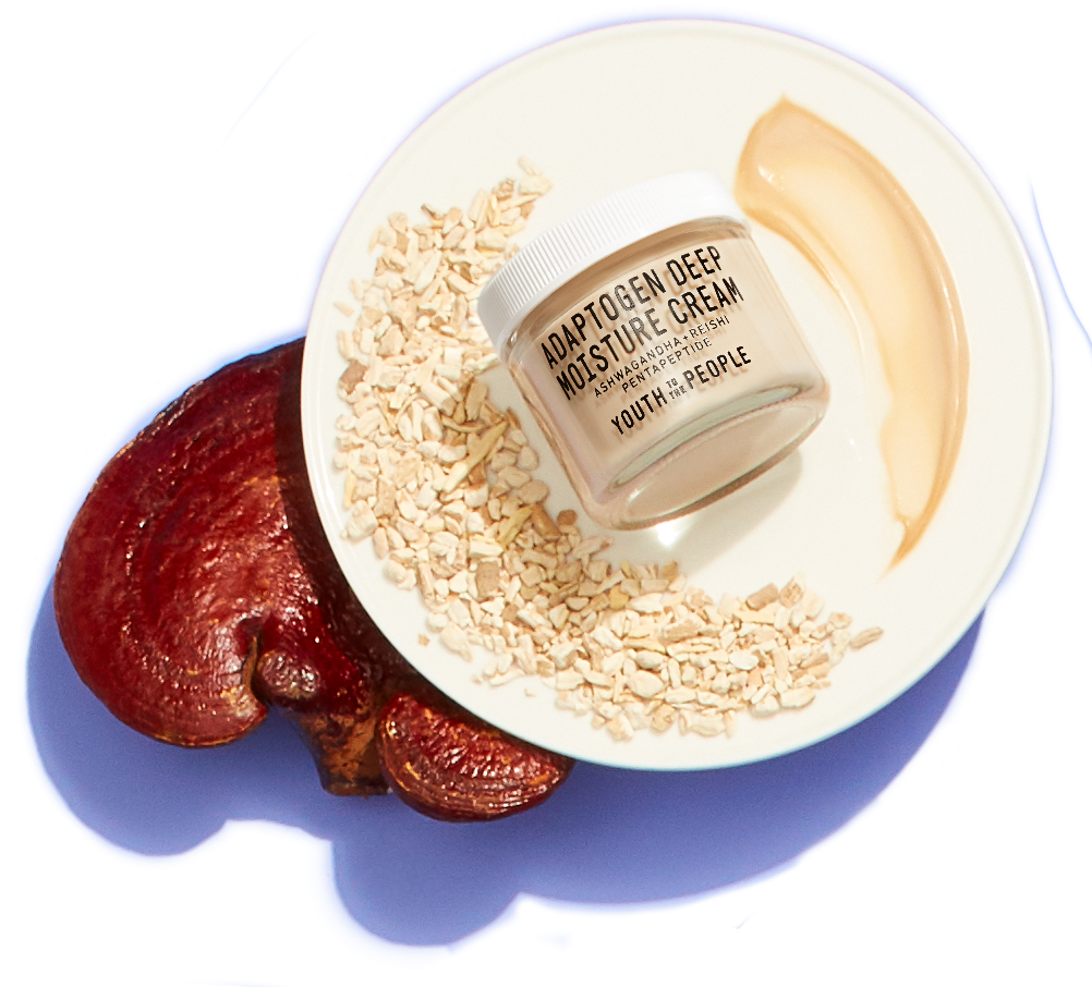 $62 - Nut (1001x930), Png Download