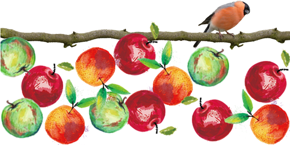 Orange Juice Poster 15x15cm (597x308), Png Download