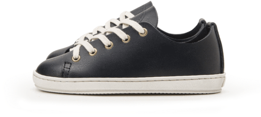 Chuck Taylor All-stars (600x540), Png Download