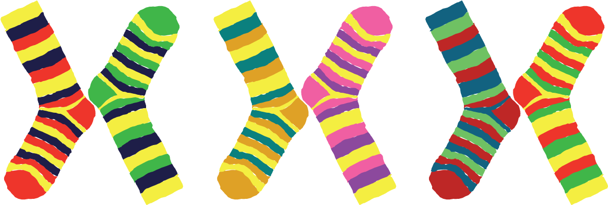2016 03 21 1458529001 3890442 Socks - Odd Socks Down Syndrome (910x292), Png Download