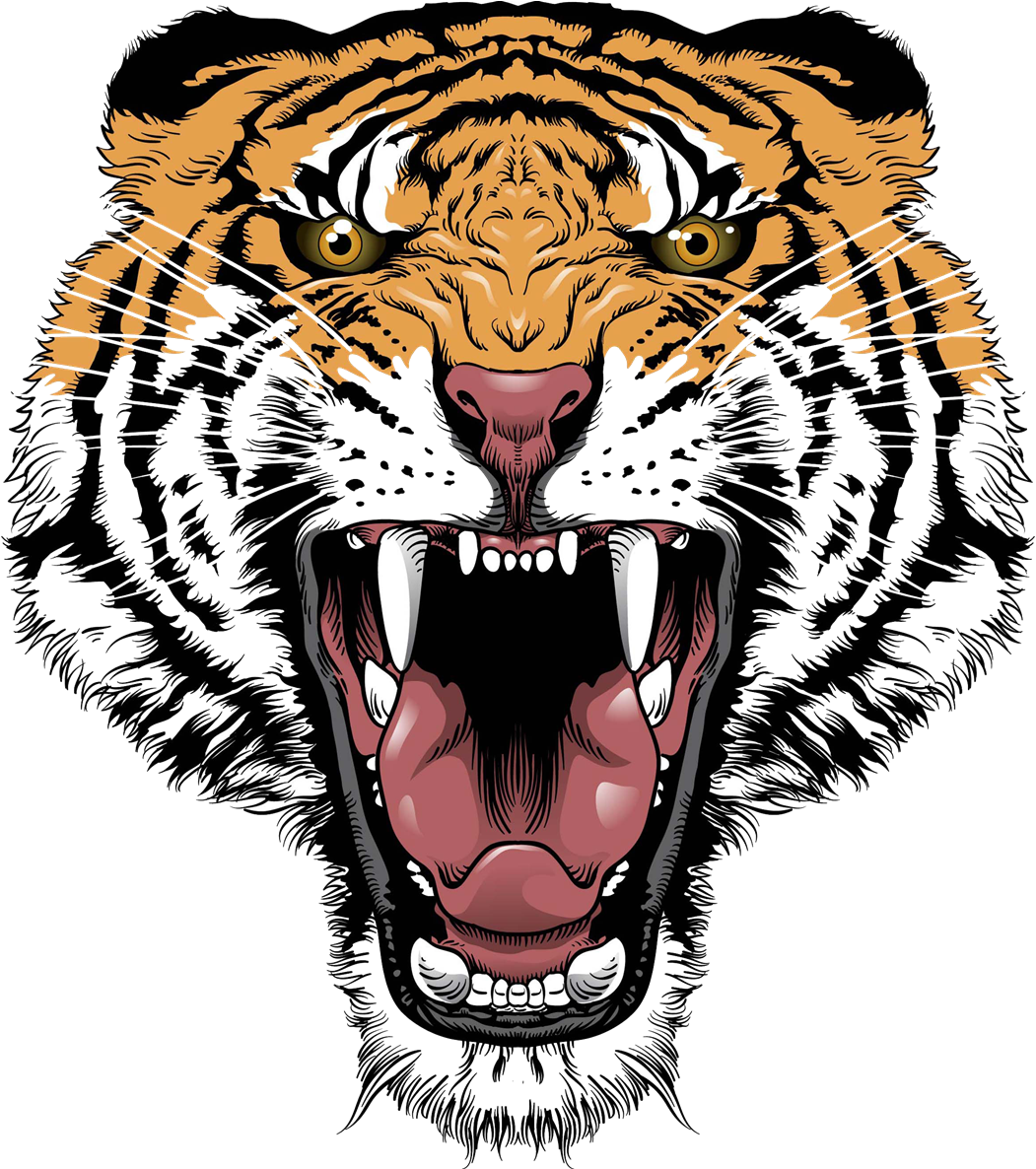 Download Tiger Face Transparent Png - Tiger Tattoo Design Png PNG Image  with No Background 