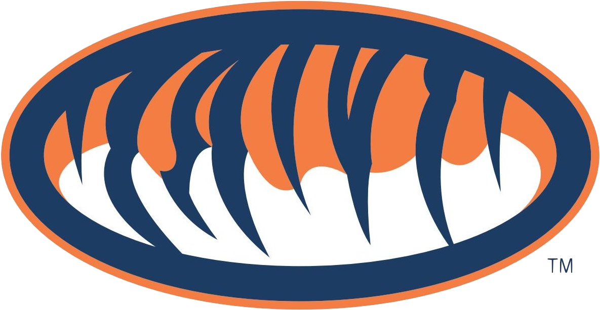 Sponsored Links - Auburn Tigers (1216x641), Png Download