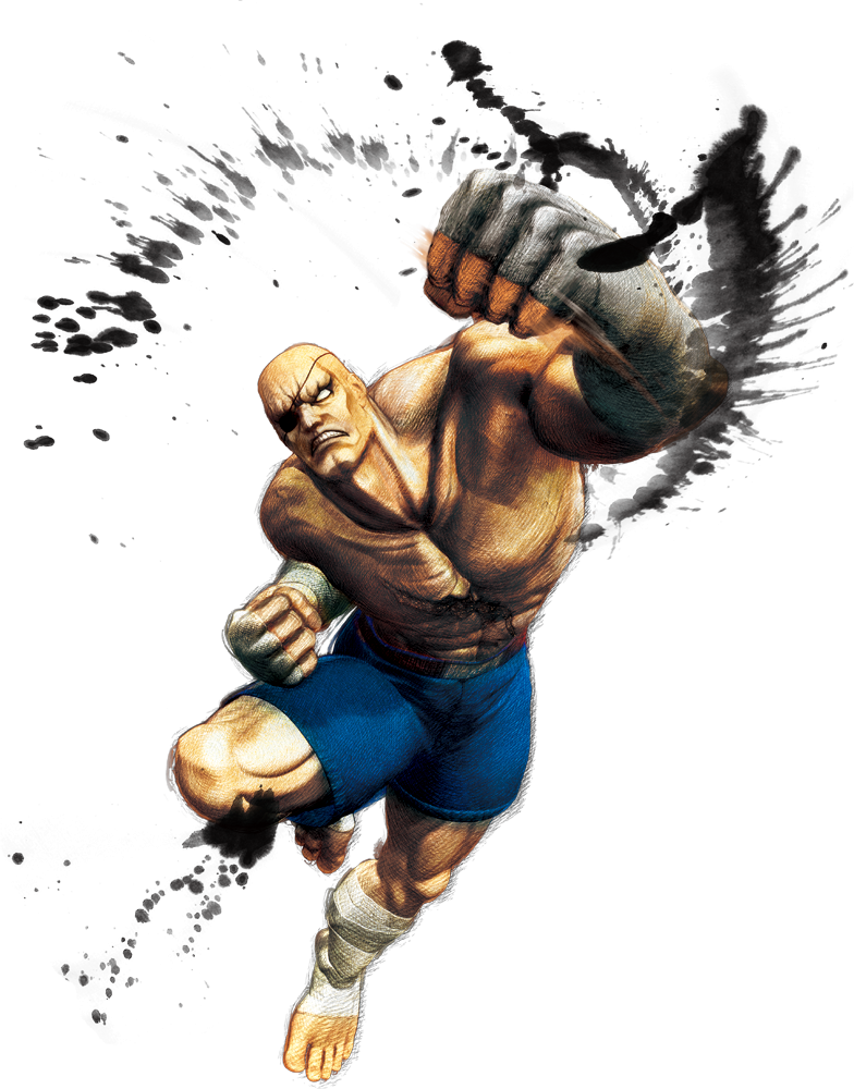 Sagat - Street Fighter 4 Png (784x1000), Png Download