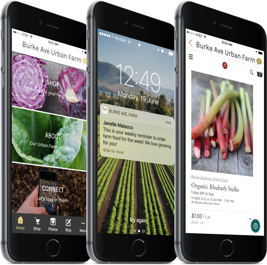 3 Cellphones - Mobile Phone (1000x890), Png Download