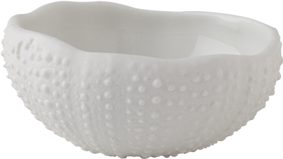 Bowl Mini Sea Urchin 5 X 5 Cm H - Centimetre (800x800), Png Download