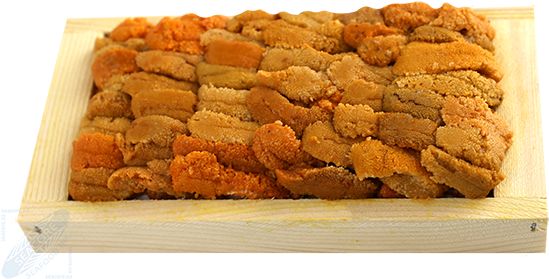 Sea Urchin Roe Strongylocentrotus Droebachiensis - Strongylocentrotus Droebachiensis Roe (575x304), Png Download