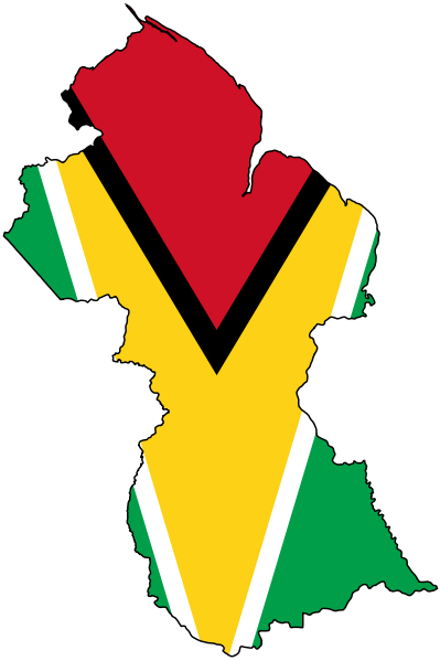 Guyanese Flag - Guyana Map And Flag (399x599), Png Download