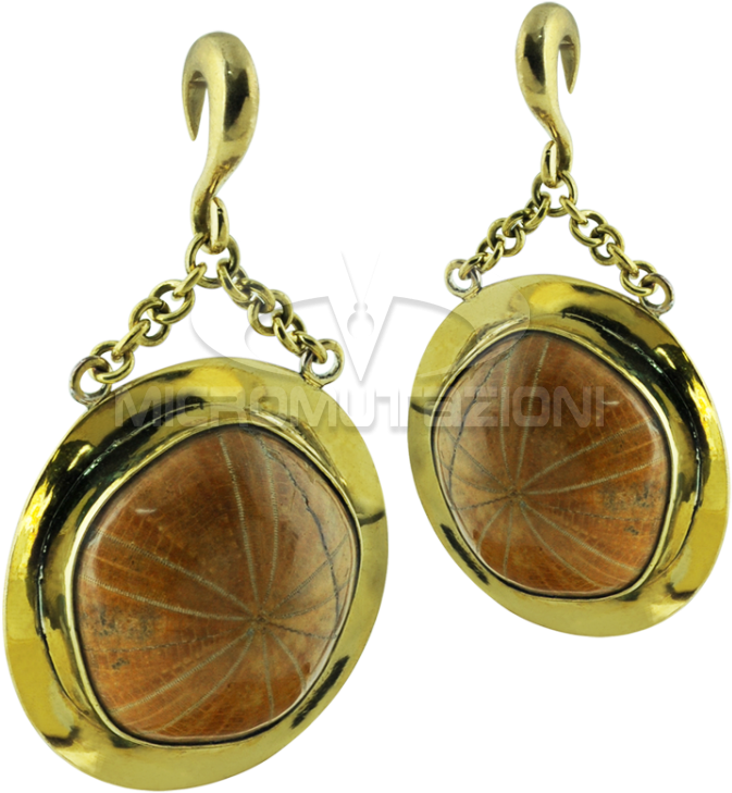 Fossil Sea Urchin In Brass Pendant Earrings Ear - Earring (750x750), Png Download