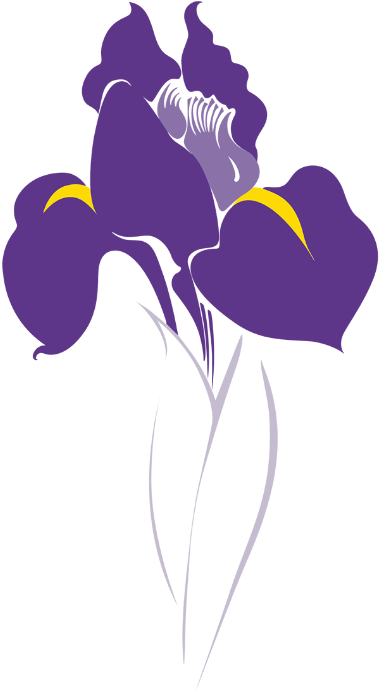 Icon Illustration Development - Iris Vector (400x721), Png Download