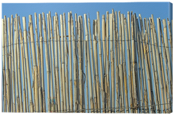 Old Cane Fence Texture Over Blue Sky Canvas Print • - Wood (400x400), Png Download