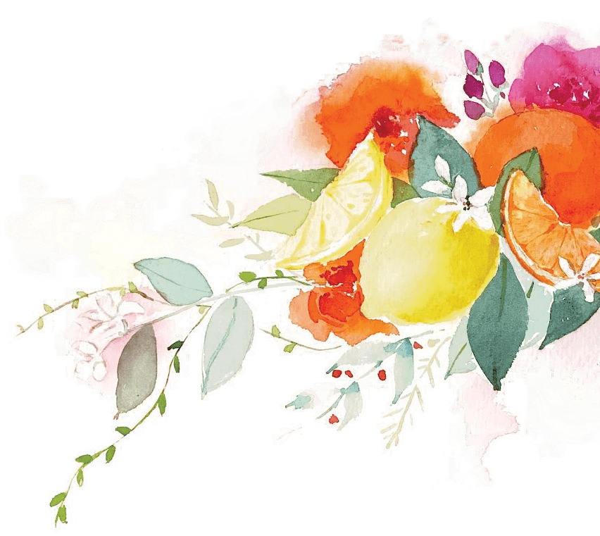 Citrus Illustration Sketch Rose Illustration - Illustration (851x771), Png Download