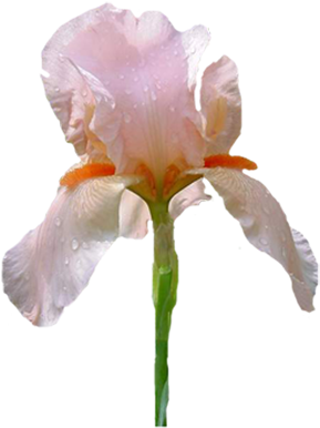 Ir09 400 X - Mobile App (400x400), Png Download