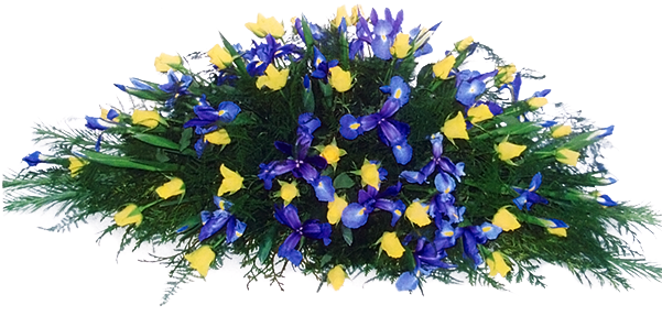 Yellow Roses And Blue Irises - Blue (600x331), Png Download